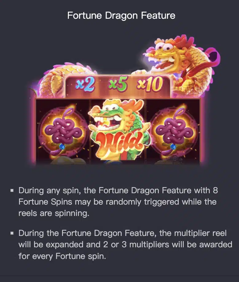 Fortune Dragon Feature